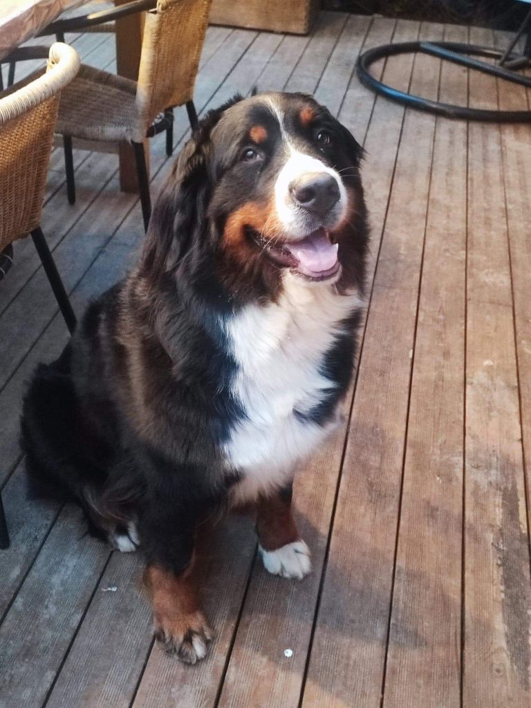 Reine maddie Des Héritiers De Thor